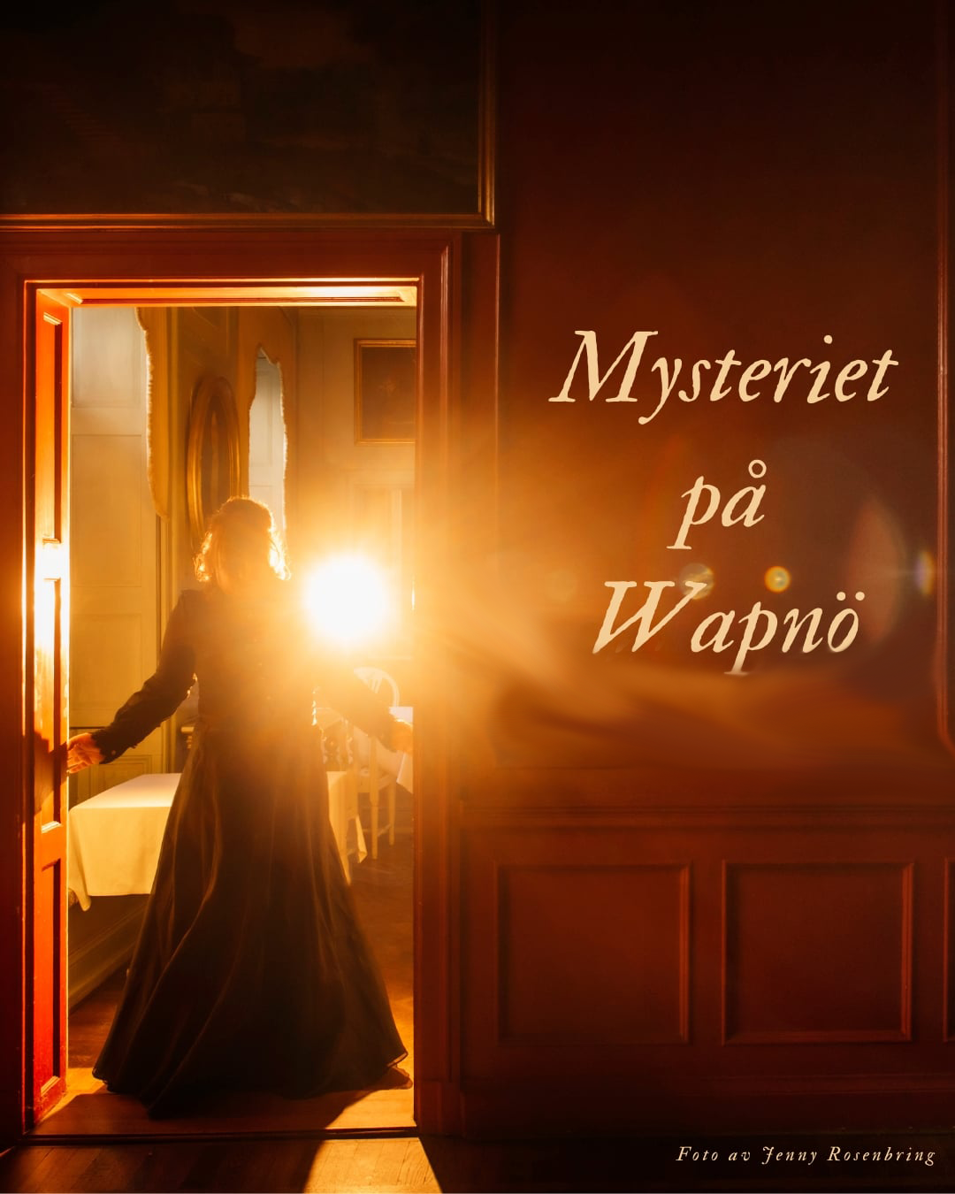 Mysteriet på Wapnö